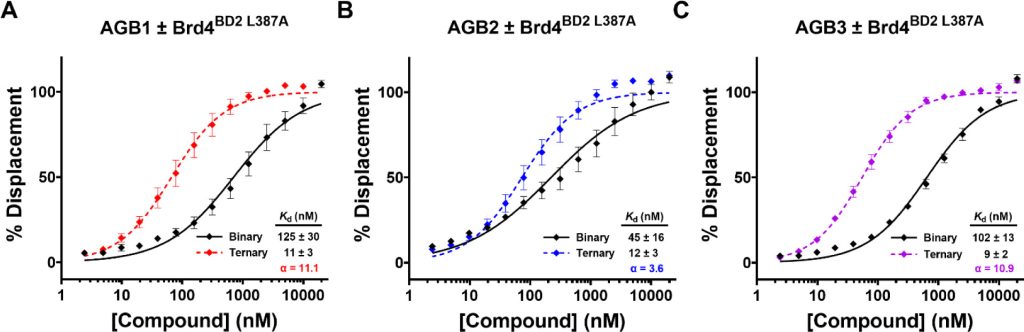 Figure 7. FP of B&H–PROTAC binary and ternary complex binding