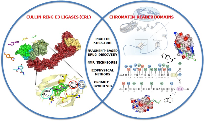 Graphic showing Cullin-Ring E3 Ligases (CRL) and Chromatin Reader Domains with text in the centre