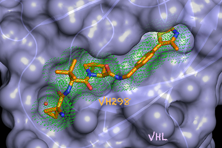 A visual representation of the crystal structure of the VH298 molecule bound to its target VHL.