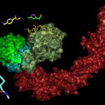 Targeting multi-protein complexes with small molecules