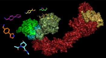 Targeting multi-protein complexes with small molecules