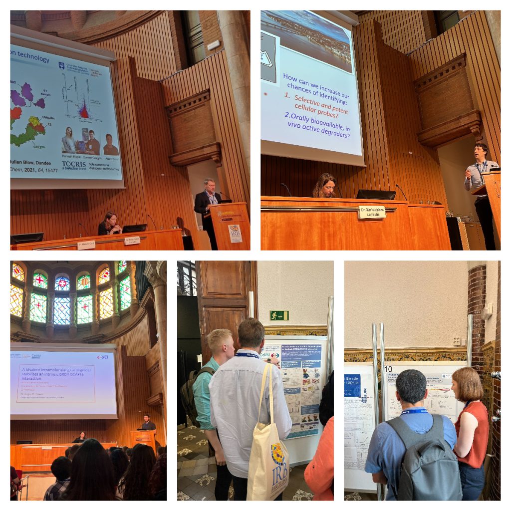 Speakers at IRB conference