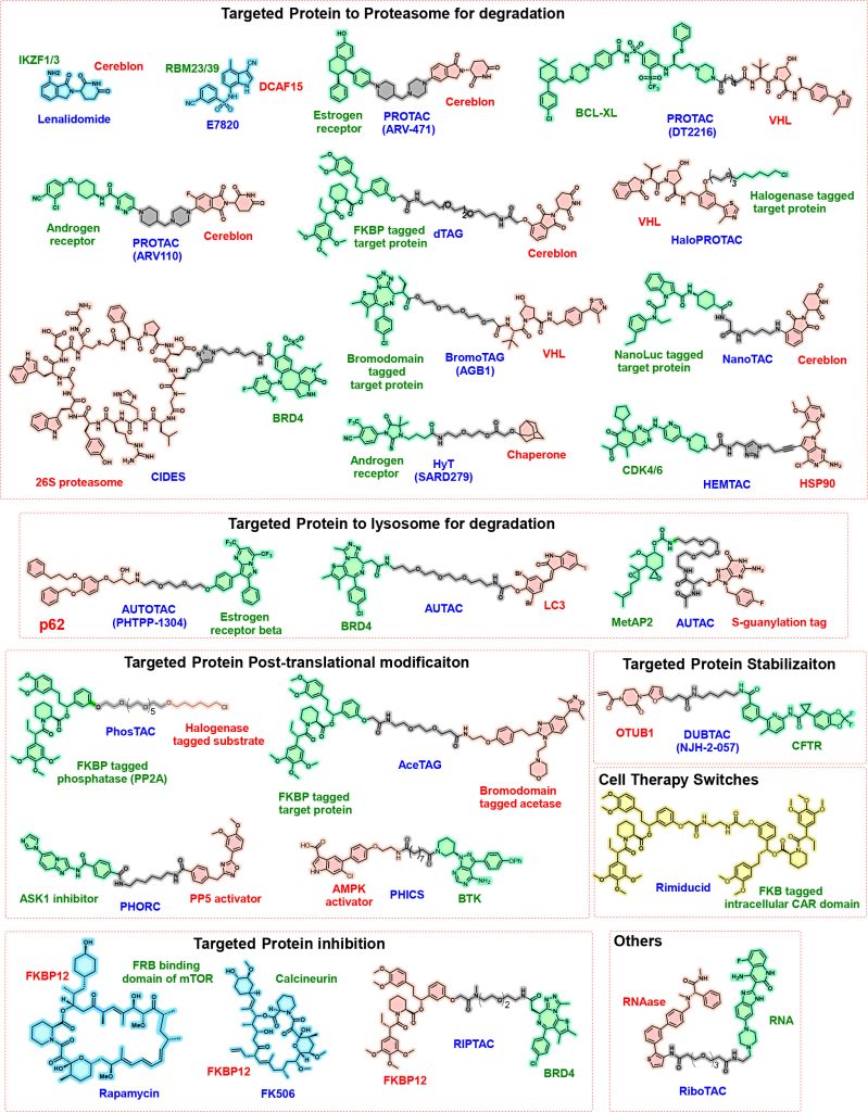 Figure 2. Representative structures of small-molecule proximity agents