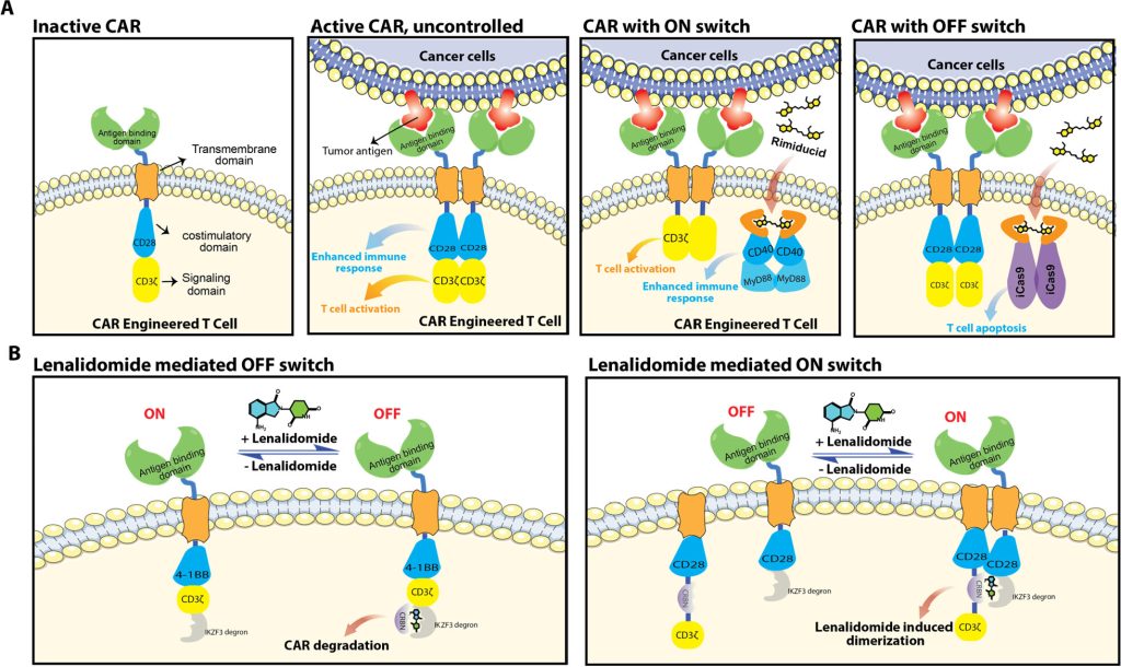 Figure 6. Modalities of advanced cell therapy using proximity agents as ON and OFF switches