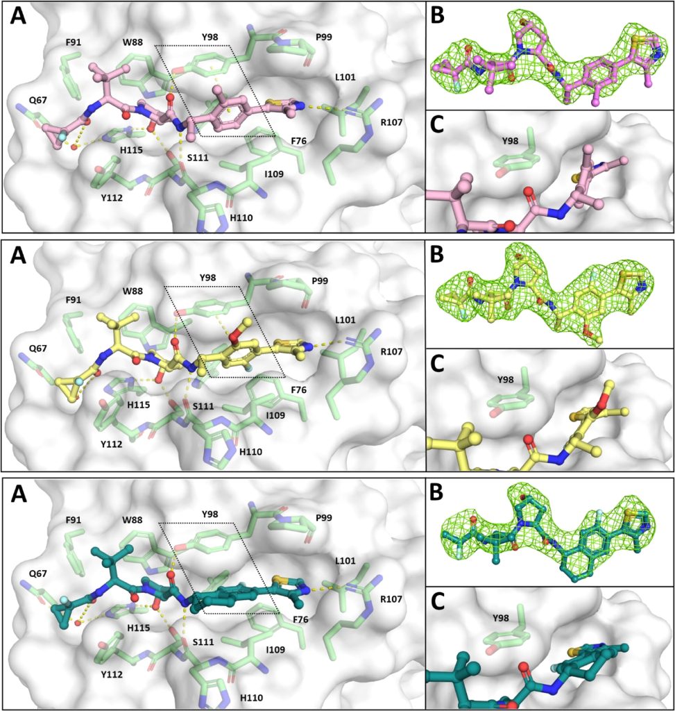 Figure 5. Co-crystal structures of VCB in complex with ligands 30 (top, PDB: 8CQK), 33 (middle, PDB: 8CQL), and 37 (bottom, PDB: 8CQE)