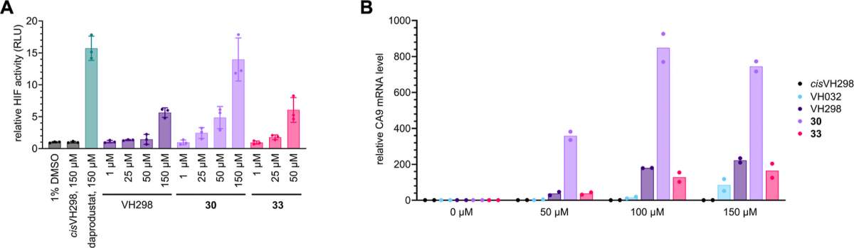 Figure 8. VHL inhibitors 30 and 33 induce increased HIF-α transcriptional activity compared to VH298