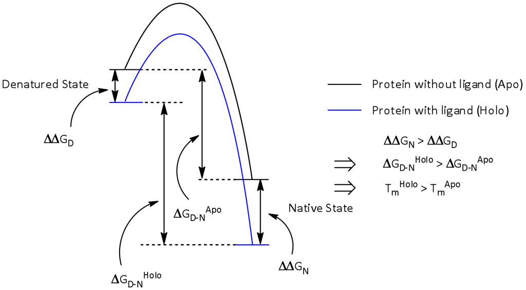 Figure 2 from chapter of book Biophysical Screening for the Discovery of Small-Molecule Ligands