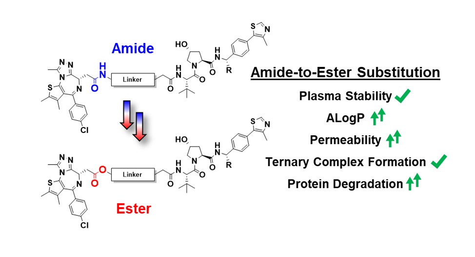 Amide to Ester substitution