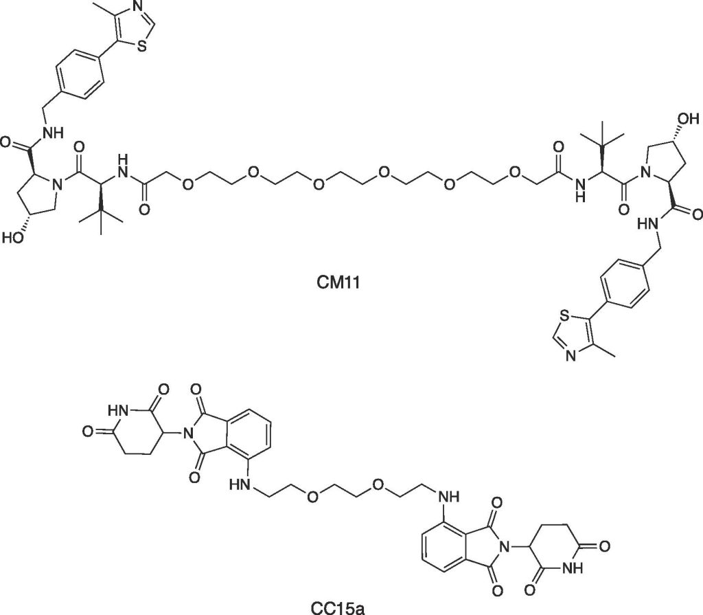 Figure 1. Previously published homo-PROTACs CM11 and CC15a, which induce self-degradation of the E3 ligases VHL and CRBN, respectively