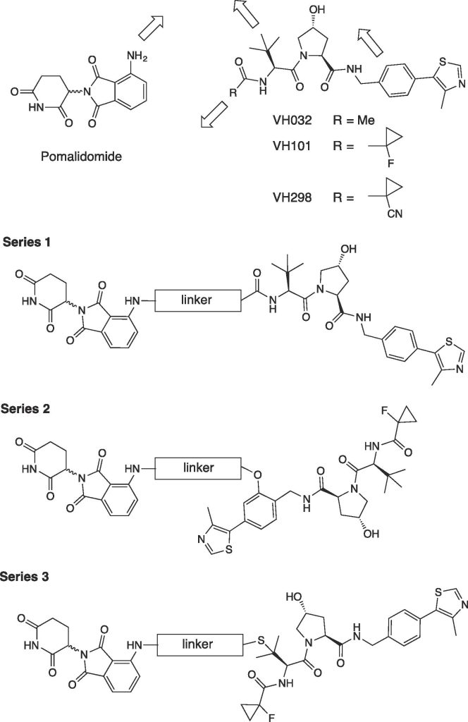 Figure 2. Design of VHL-CRBN conjugates explored in this work