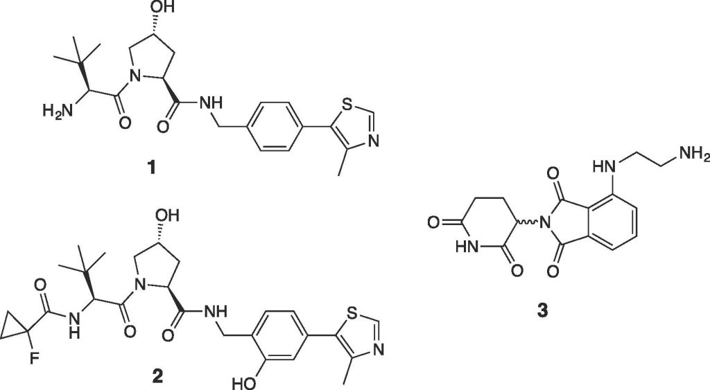 Figure 3. Chemical structure of VHL ligands 1 and 2, and CRBN ligand 3