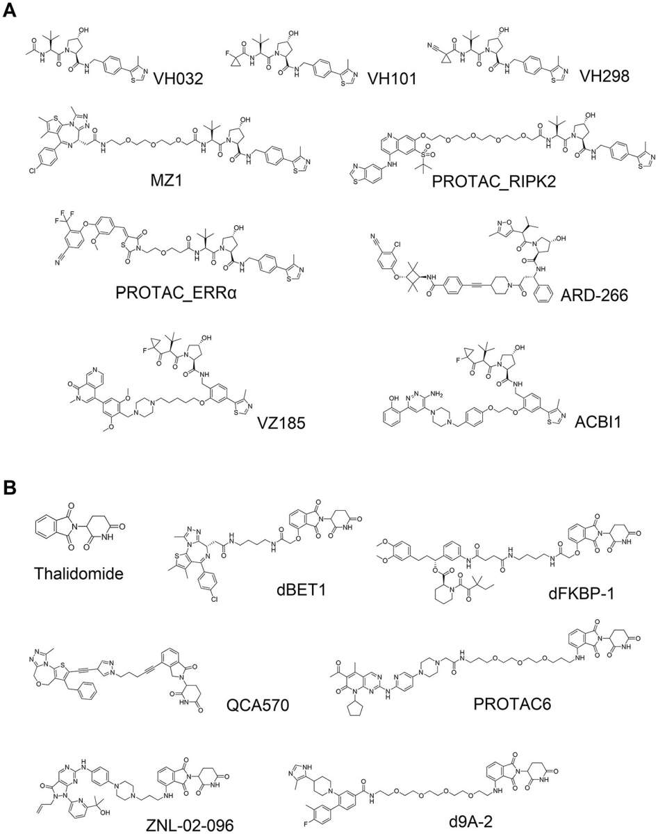 Figure 2. Von Hippel–Lindau (VHL)-based and cereblon (CRBN)-based small-molecule proteolysis-targeting chimeras (PROTACs).