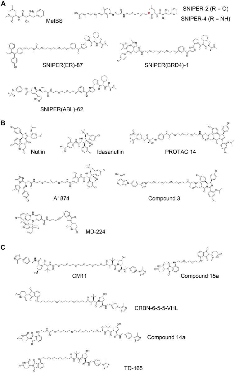 Figure 4. Inhibitor of apoptosis protein (IAP)-based and mouse double minute 2 homolog (MDM2)-based proteolysis-targeting chimeras (PROTACs), and von Hippel–Lindau (VHL)-based and cereblon (CRBN)-based homo-PROTACs.