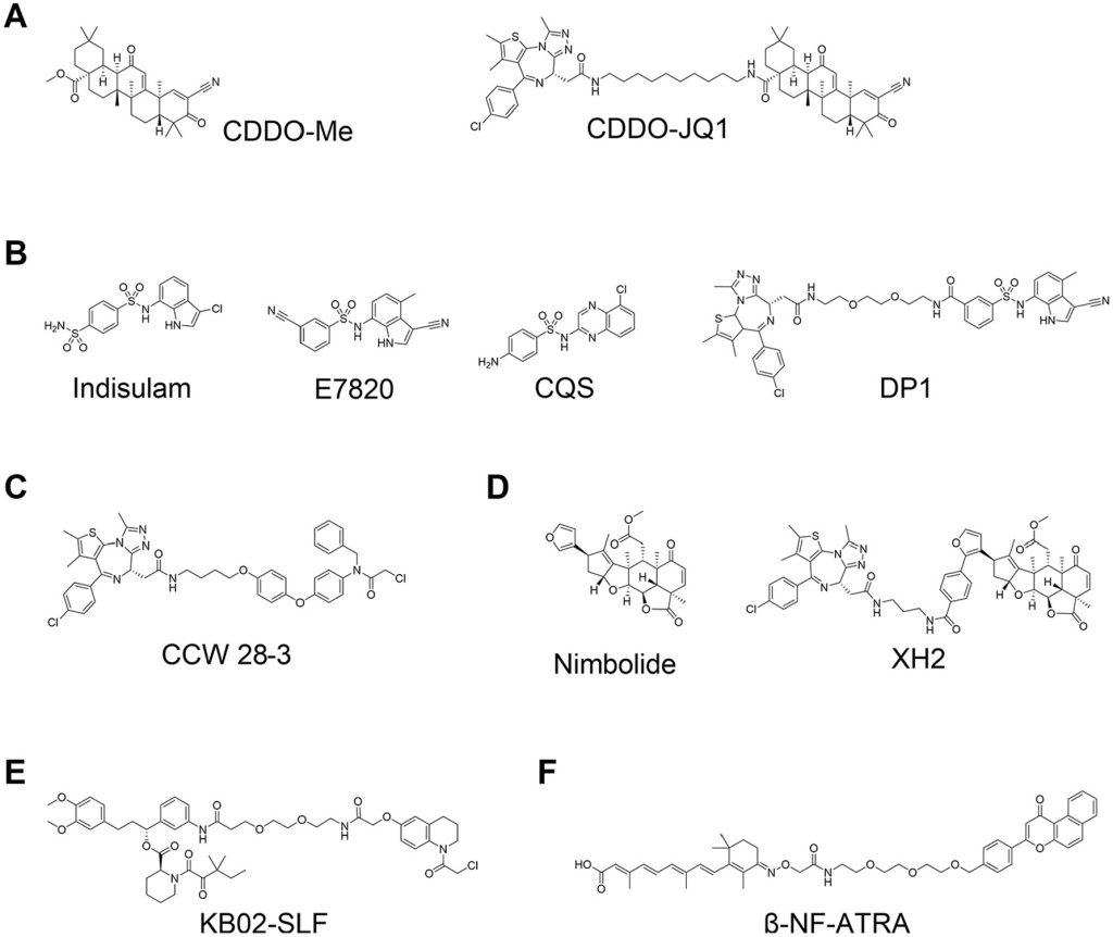 Figure 5. Proteolysis-targeting chimeras (PROTACs) using nonconventional E3 ligase ligands.