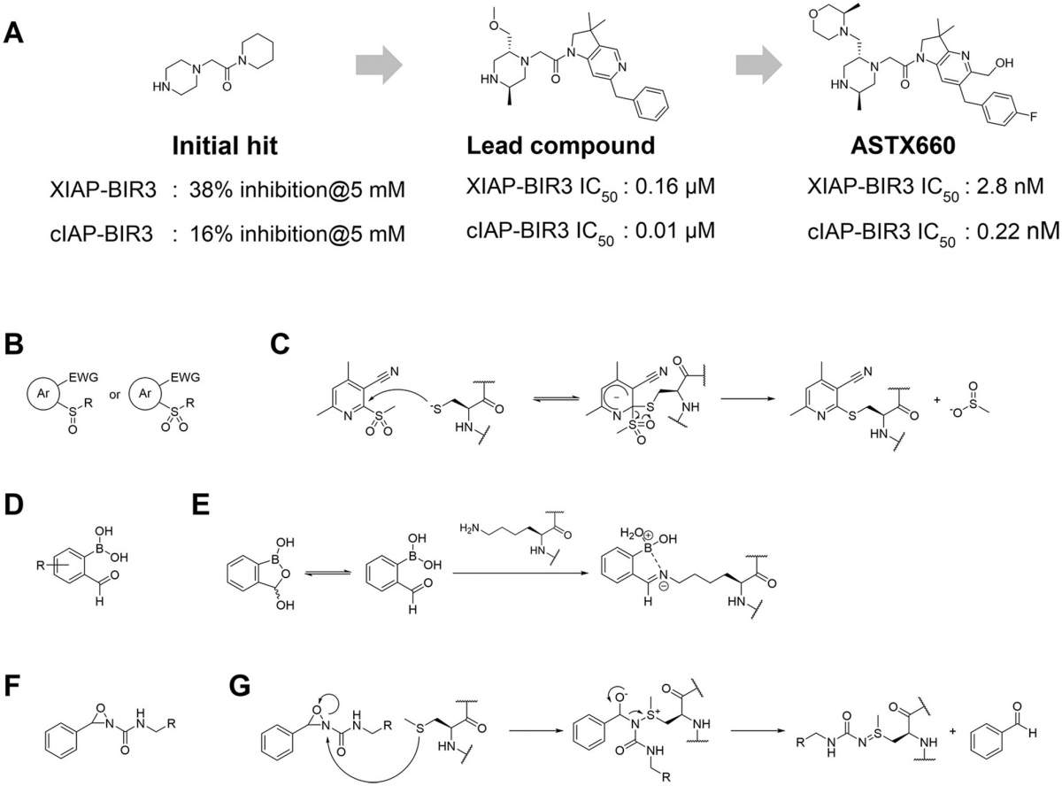 Figure 6. Noncovalent and covalent fragment-based approaches for hit finding and ligand development for E3 ligases