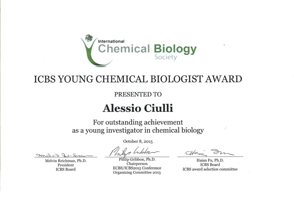 ICBS awarded to Alessio Ciulli in 2015