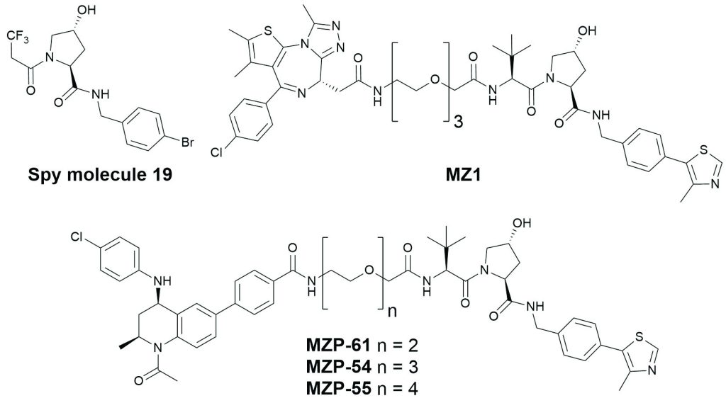 Scheme 1. Structures of 19F NMR VHL spy molecule 19 and PROTACs MZ1, MZP-54, MZP-55 and MZP-61