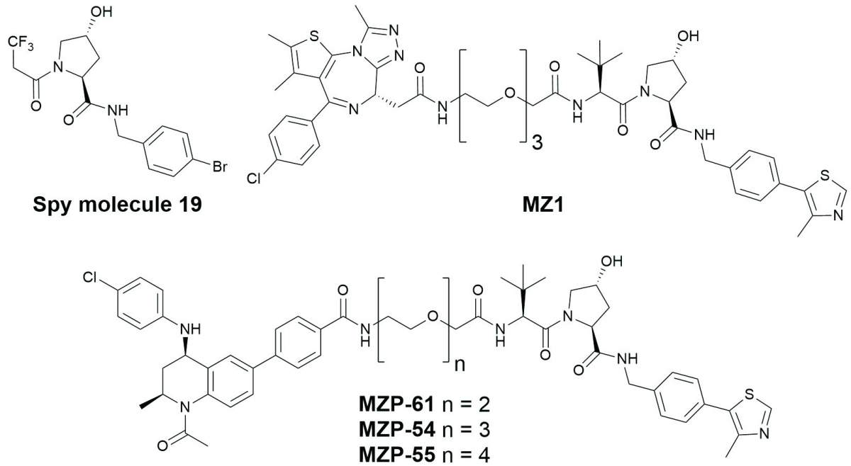 Scheme 1. Structures of 19F NMR VHL spy molecule 19 and PROTACs MZ1, MZP-54, MZP-55 and MZP-61
