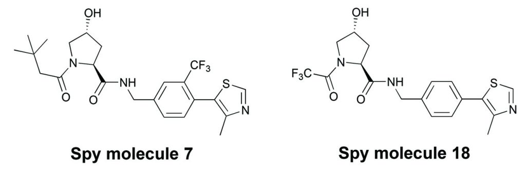 Scheme 3. Structures of 19F NMR VHL spy molecules 7 and 18.