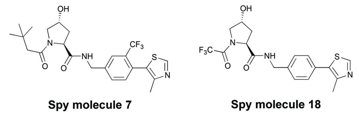 Scheme 3. Structures of 19F NMR VHL spy molecules 7 and 18.