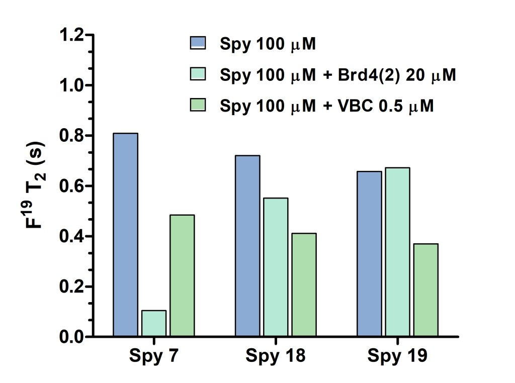 Figure 3. F19 transverse relaxation times of spy molecules