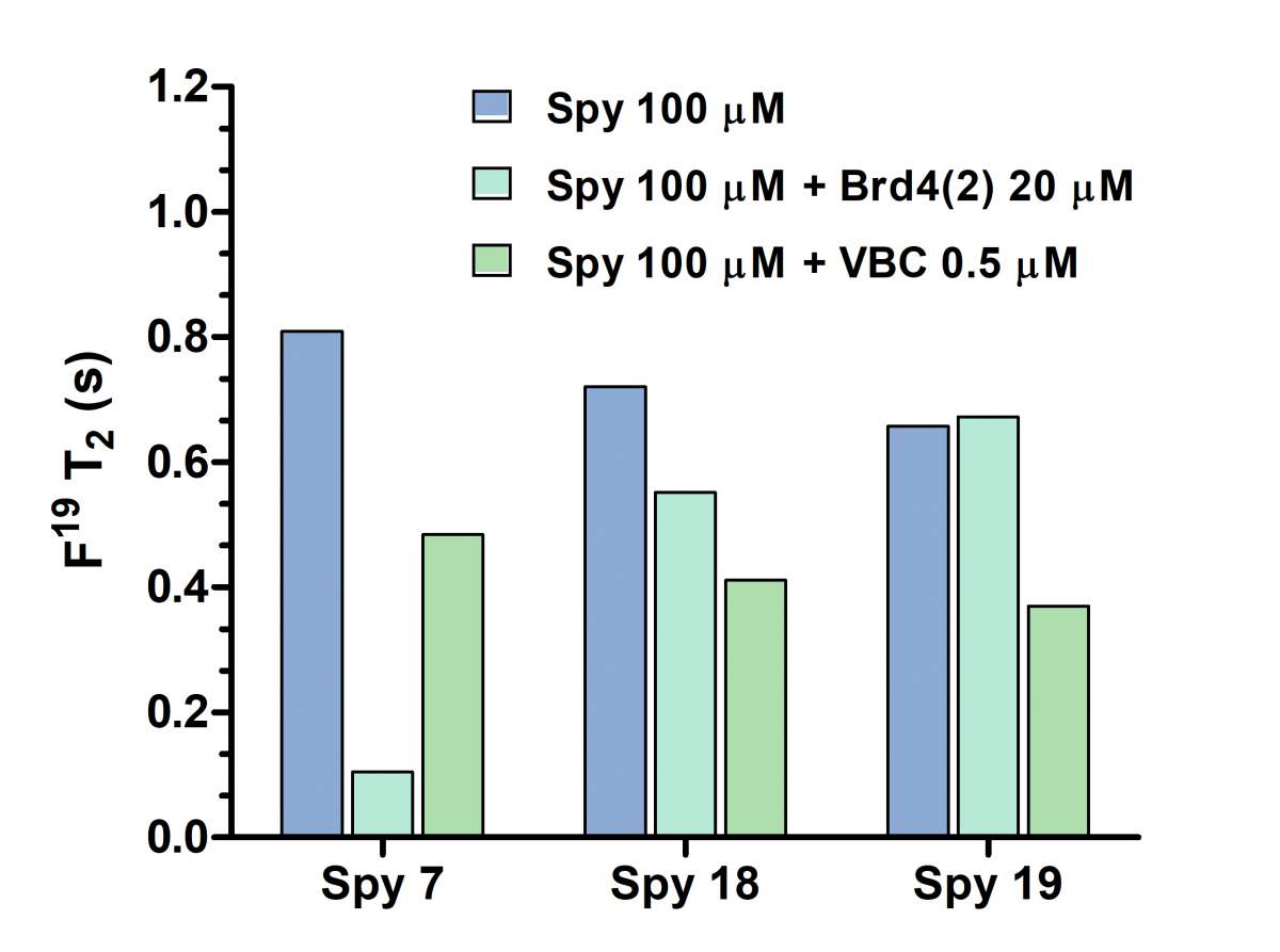 Figure 3. F19 transverse relaxation times of spy molecules