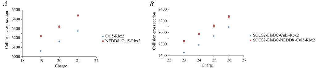 Fig. 5. Experimental ion mobility data for a range of charge states suggests an increase in CCS values upon neddylation of the protein complexes.