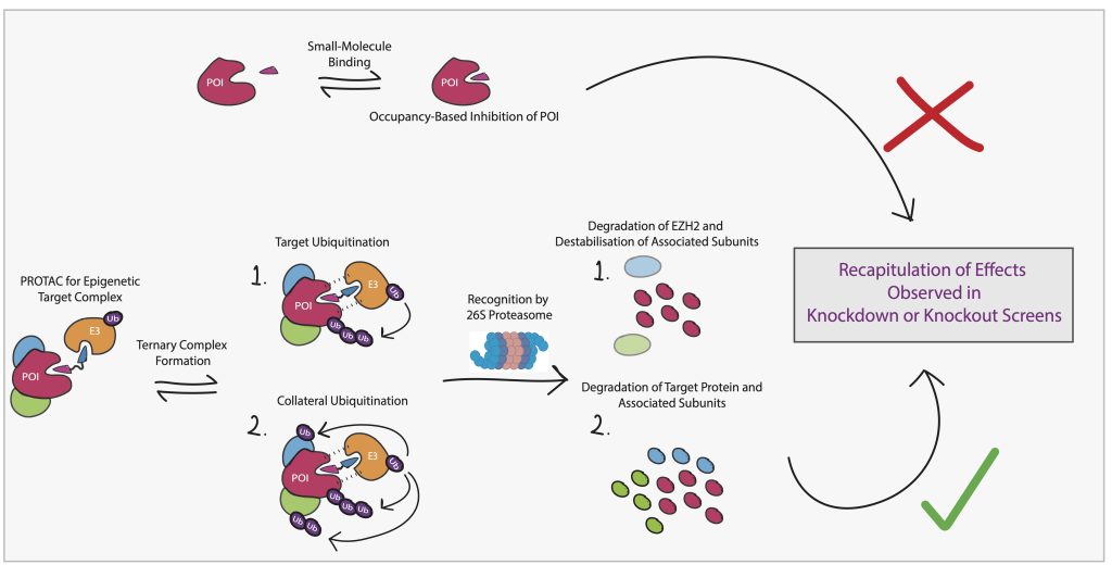 Targeting Epigenetic Modulators-Graphical Abstract