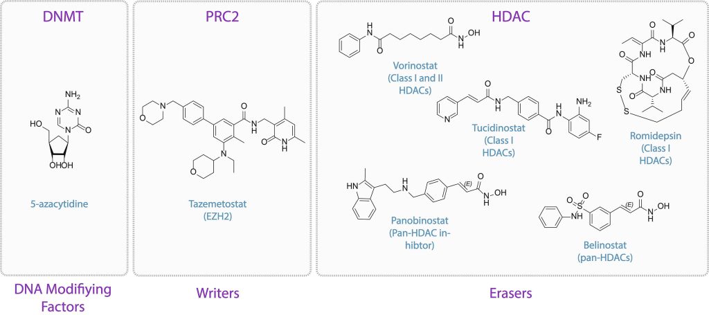 Graphic 1 from the review review on Targeting Epigenetic Modulators Using PROTAC Degraders is now published in BMCL