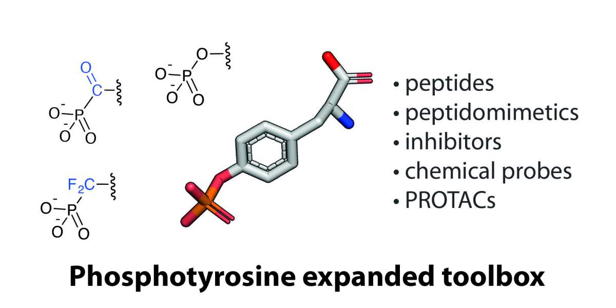 Phosphotyrosine expanded toolbox graphic