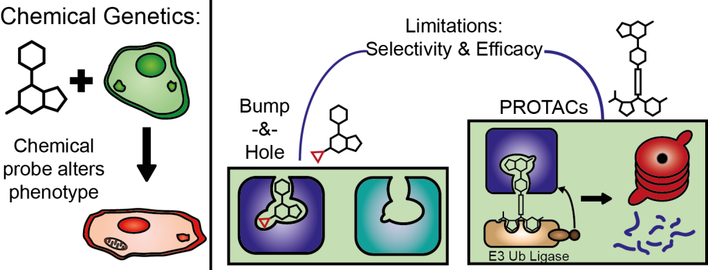Graphical abstract for