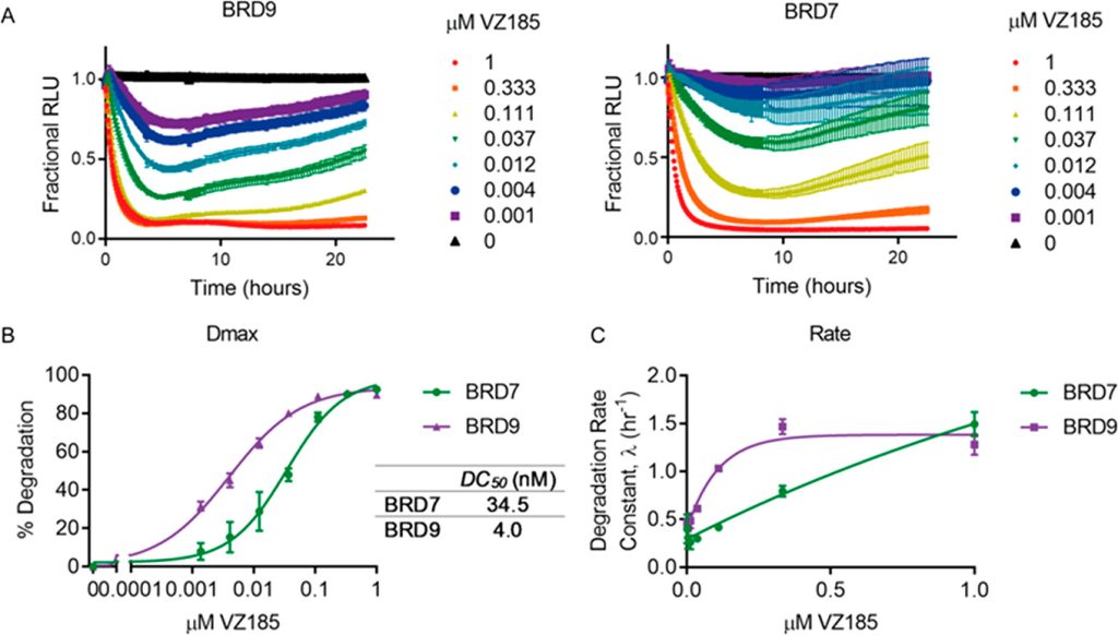 Figure 9. Quantitative live-cell kinetics of VZ185 induced degradation of BRD7 and BRD9