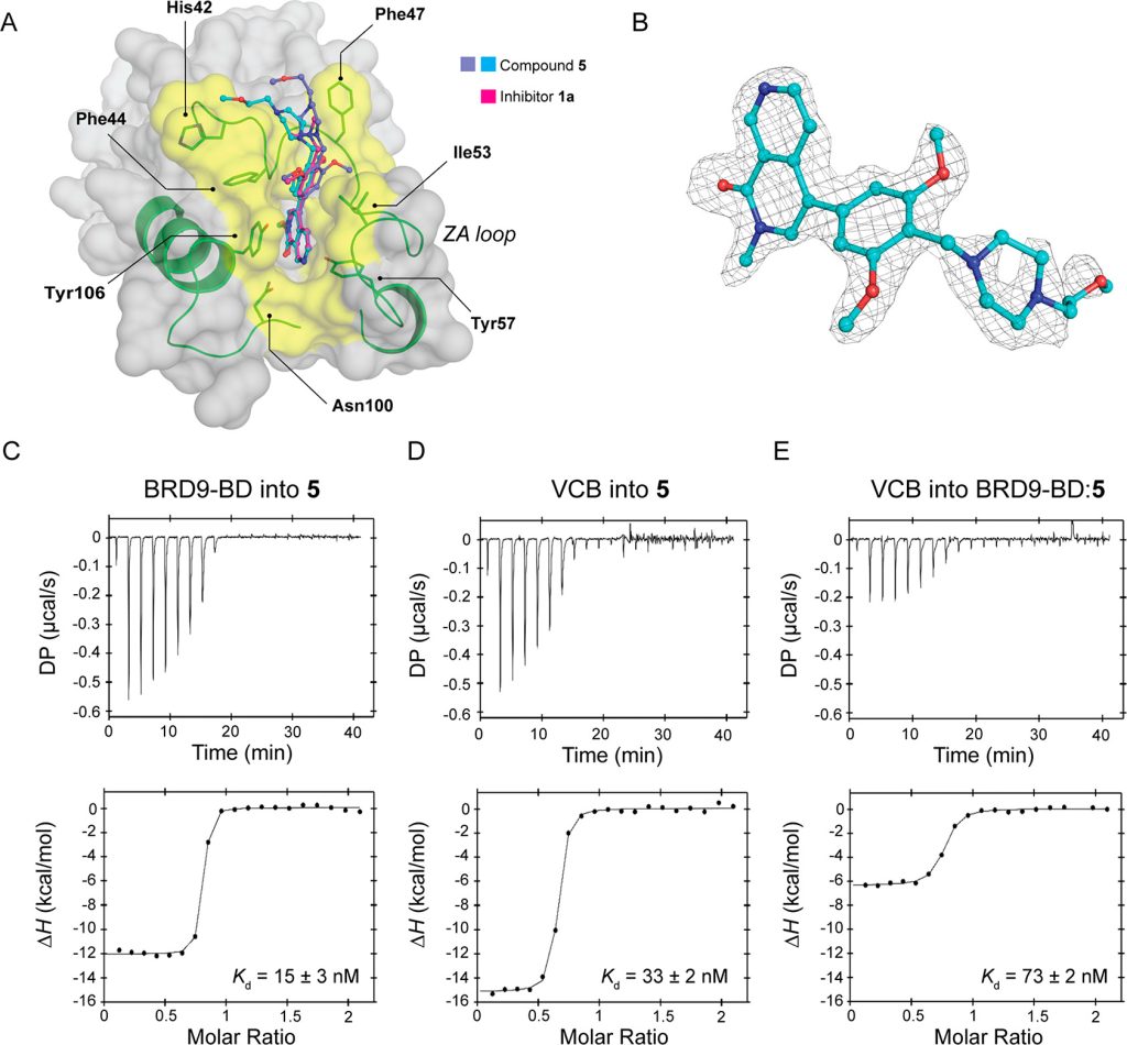 Figure 4. Ternary complex formation and analysis of binding mode for compound 5.