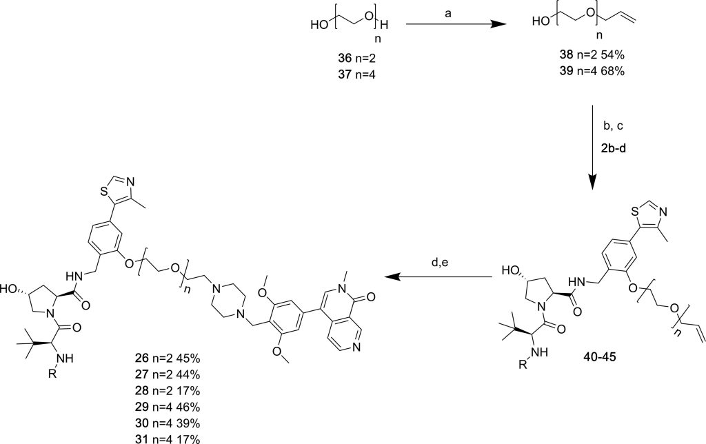 Scheme 4. Synthesis of Compounds 26–31