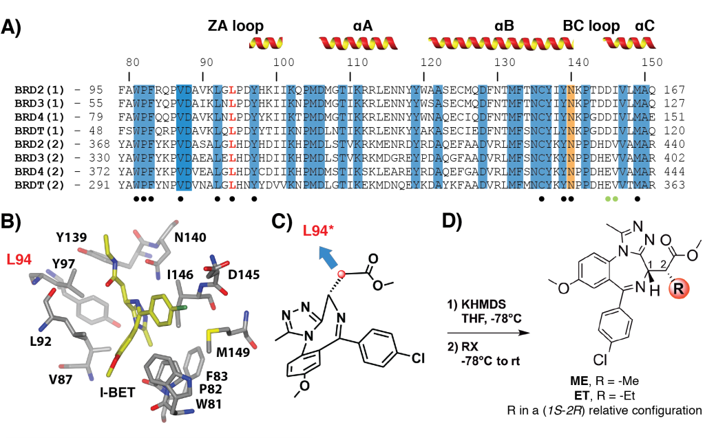 "Figure 2. Identification of Leu94 as mutational position and bumped ligand design