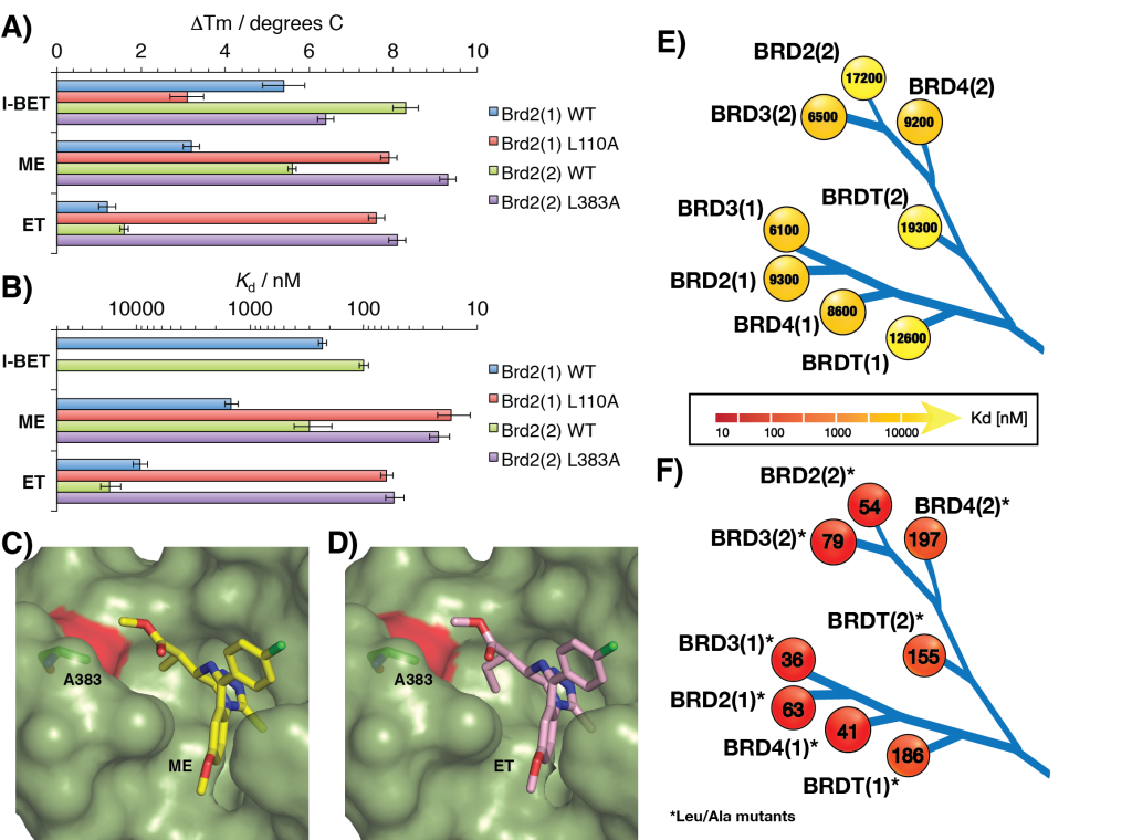 Figure 3. Bumped ligand ET binds to engineered Leu/Ala bromodomains with high selectivity
