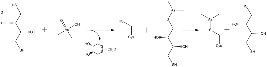 Fig 4. Mechanism for dimethylarsenic modification of cysteine residues proposed by Maignan et al.
