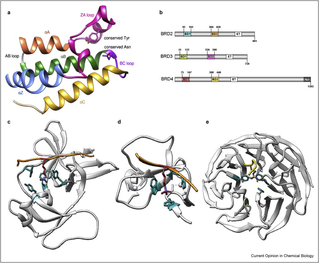 Figure 1. Structural architecture of reader domains