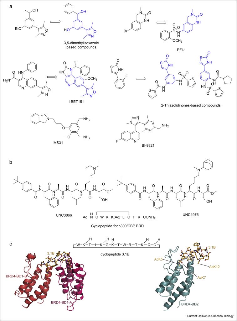 Figure 3. Fragment-based and peptide-based approaches
