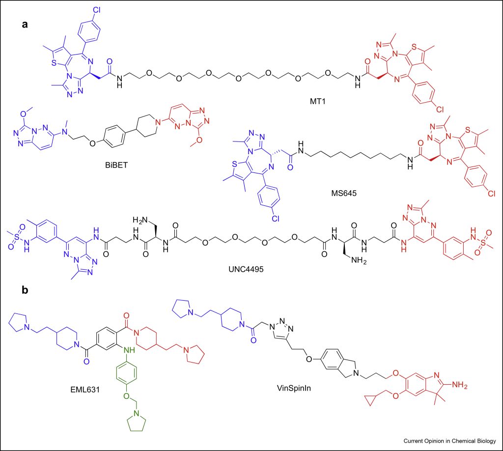 Figure 4. Bivalent ligands of epigenetic readers