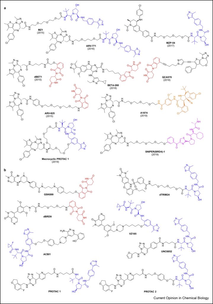 Figure 5. PROTAC degraders of epigenetic readers