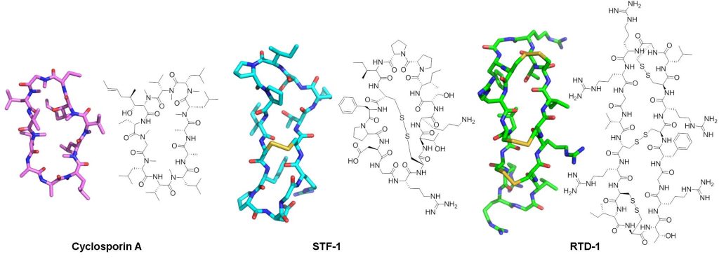 Figure 1. Naturally occurring cyclic peptides