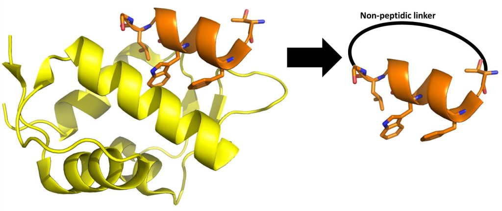 Figure 2. MOrPH molecule design