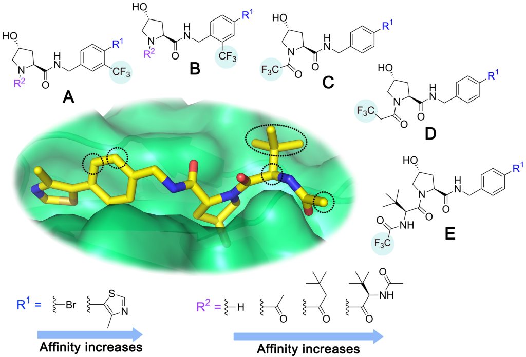 Fig. 1 Design of a fluorinated spy molecule series. The co-crystal structure of VHL binder VH032 (PDB: 4W9H) inspired the choice of five positions (dashed circles) to attach a CF3 group, either on aromatic (series A and B) or aliphatic (C–E) regions