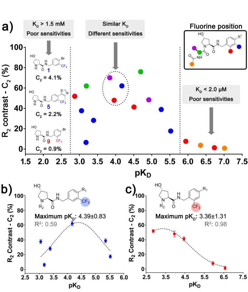 Fig. 3 Relationship between sensitivity, affinity and position of the fluorinated group. (a) Correlation between C2 and the respective pKD of all the spy molecules where the affinity could be estimated, highlighting the regions where the sensitivity of the spy molecules decays considerably. Dashed circles display molecules with similar pKD that possess different C2 due to the variation in the fluorine attachment. The same plot was also made for the aromatic series A (b) and B (c), where the trend of an ide