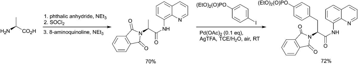 Scheme 5 Palladium-catalyzed mono-arylation of the β-methyl group of alanine