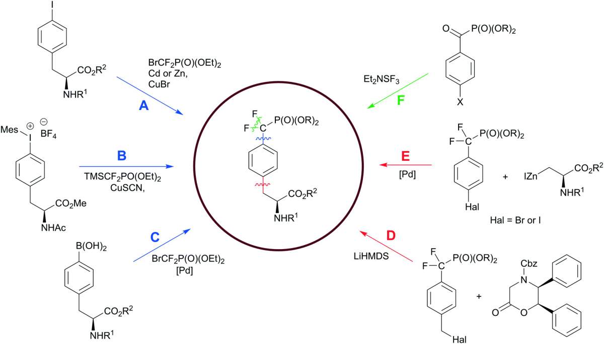 Scheme 5 Palladium-catalyzed mono-arylation of the β-methyl group of alanine.