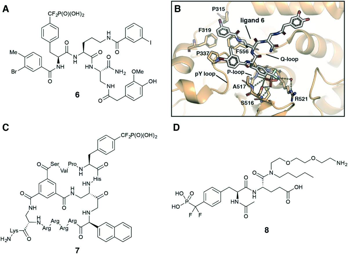 Fig. 7 Recent application of F2Pmp in drug design.