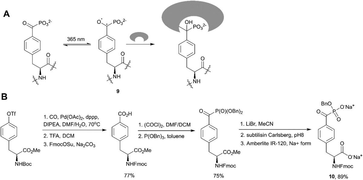 Fig. 9 Benzoylphosphonates as phosphotyrosine mimetics.