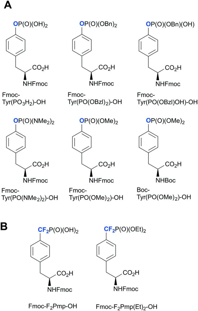 Fig. 2 Commercially available phosphotyrosine (A) and phosphonodifluoromethyl phenylalanine (F2pmp) (B)-based building blocks